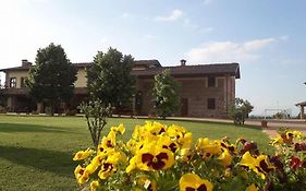 Agriturismo AMA